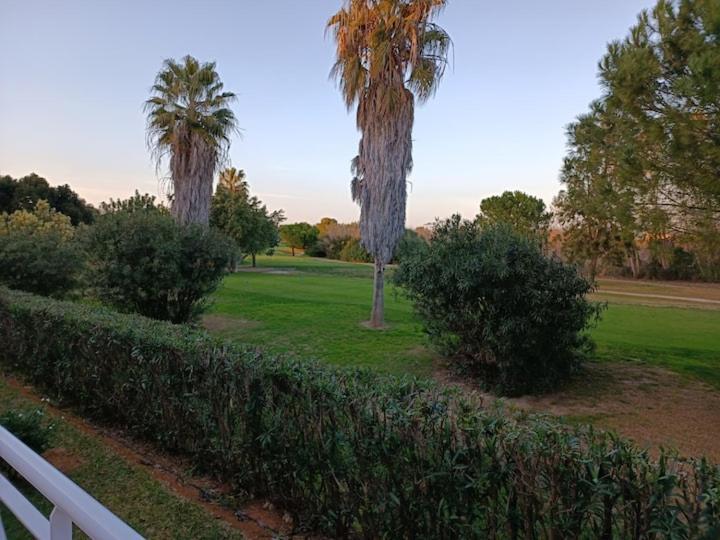 Met&Golf Oliva Nova Beach Jardin Extérieur photo